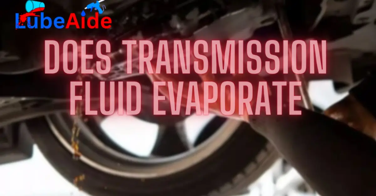 Does Transmission Fluid Evaporate